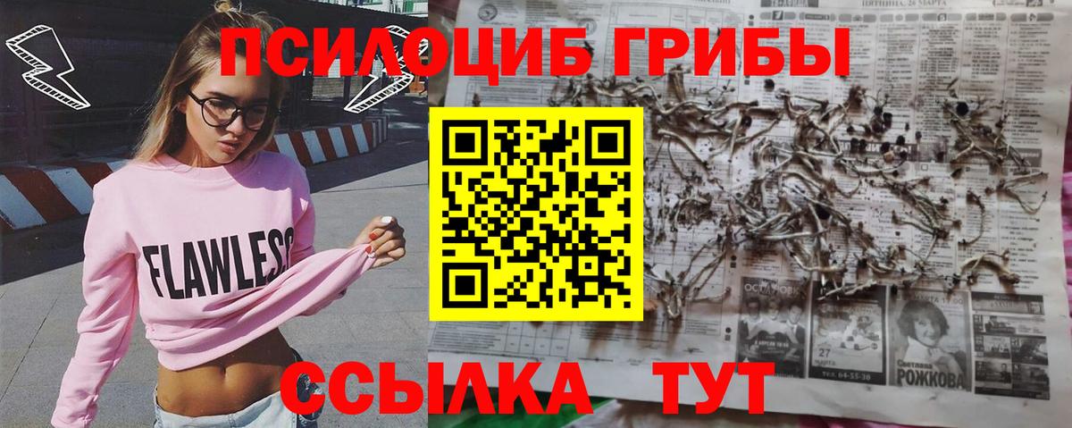 Галлюциногенные грибы MAGIC MUSHROOMS  где продают   Канаш  Вход с VPN 